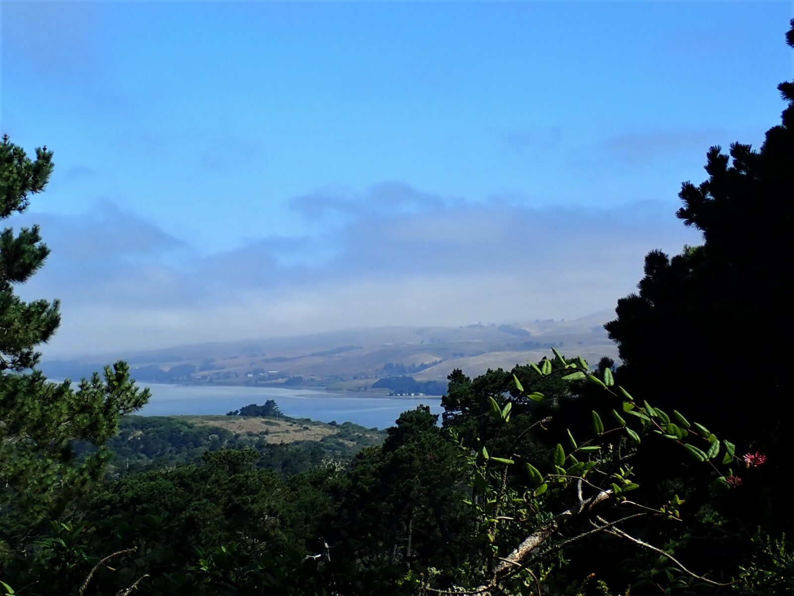 Tomales Bay State Park Marin = Hike