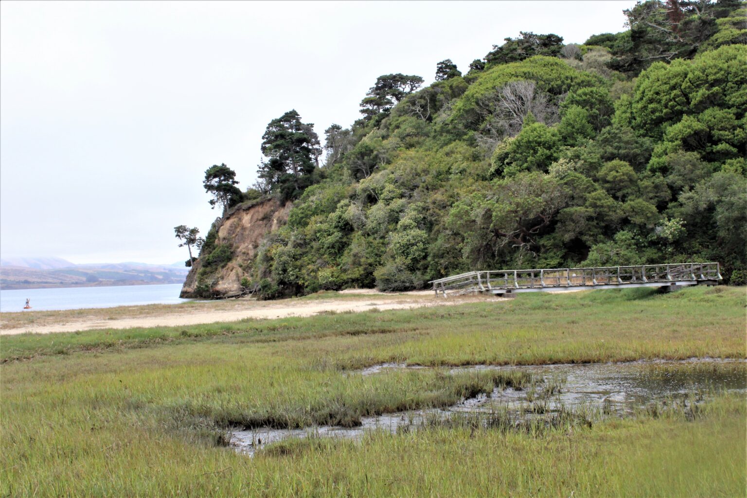 Tomales Bay State Park ’20 Marin = Hike