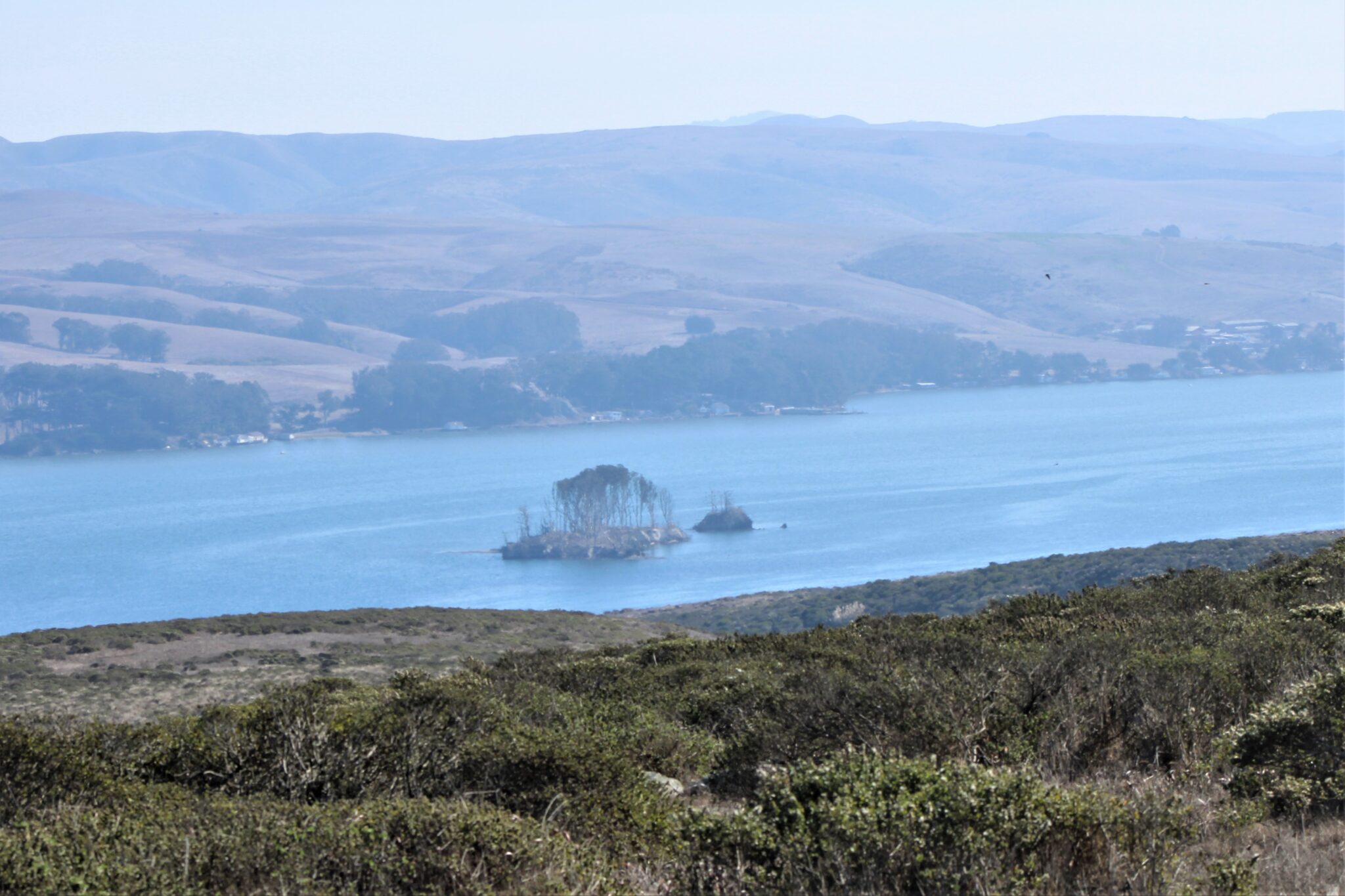 Tomales Point Point Reyes November Marin = Hike
