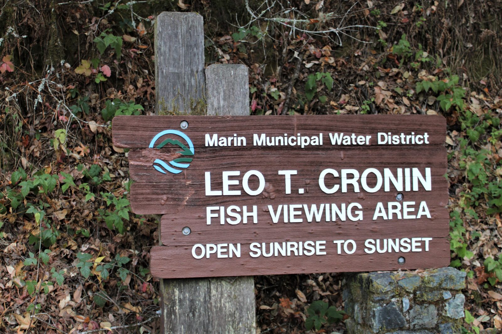 Loop Hike from Cronin Fish Viewing Area Marin = Hike